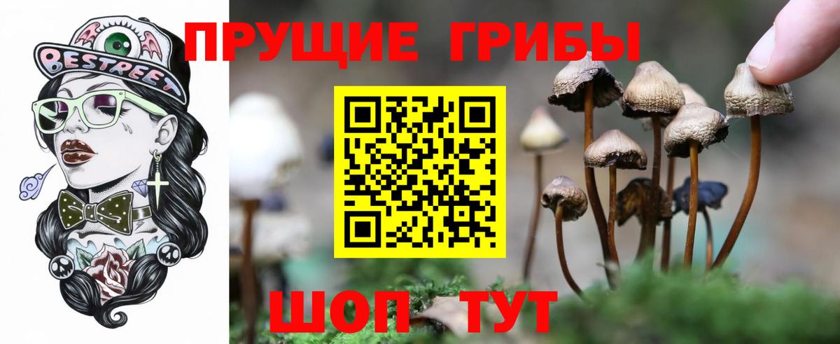 Богородск  наркошоп  Вход с VPN  Галлюциногенные грибы Magic Shrooms 
